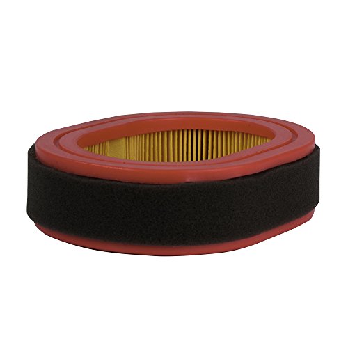 Southland Outdoor Power Equipment A203222P Replacement Air Filter