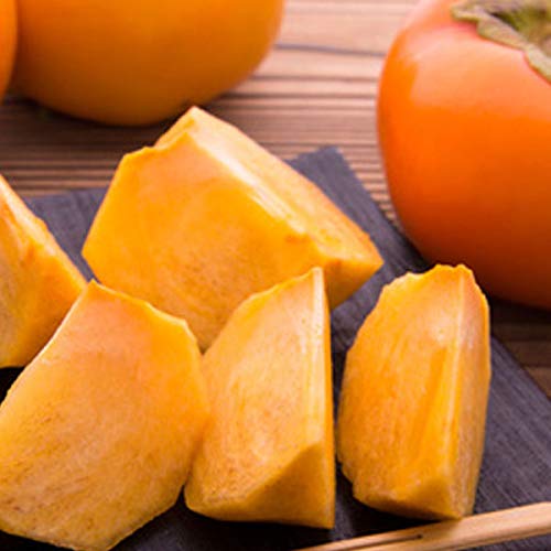 ` xL` ƒp 2kgi6-8ʓj 2LTCY ` ӂ` Y