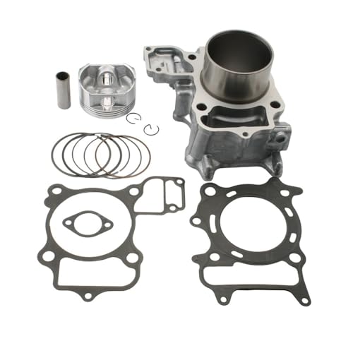 Bloque de cilindros 300cc SH300 ideal para renovar el motor desgastado de SH 300i 1