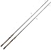 Fenwick HMG Spinning