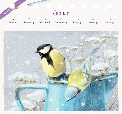 Kalender mit 53 Postkarten: 2026 - Blick in den Garten: Dekorativer Tischaufsteller mit Wochenkalendarium und illustrierten Postkarten mit Perforation ... Hochwertige Ausstattung (Postkartenkalender)