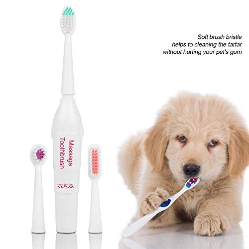 最安値 マインドアップ 犬口ケア 歯ブラシ 愛犬歯磨き 愛犬デンタルケア 歯垢 汚れ 小型犬 中型犬 大型犬 やわらかブラシ 清潔 犬 用口内介護用 レッド の価格比較 最安値 マインドアップ 犬口ケア 歯ブラシ 愛犬歯磨き 愛犬デンタルケア 歯垢 汚れ 小型犬 中型犬 大型犬 やわらかブラシ 清潔 犬 用口内介護用 レッド の価格比較