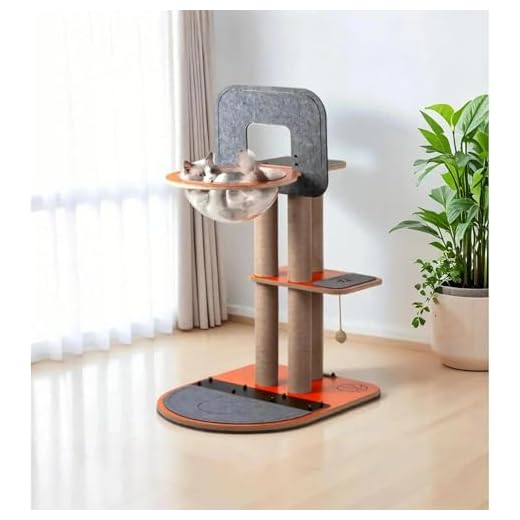 Interactive Cat Basketball Hoop Toy