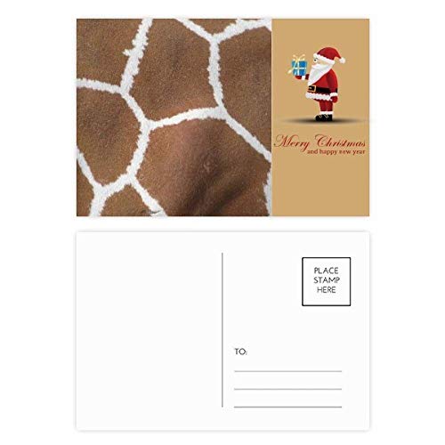 Cartes postales plumes de girafe : idée cadeau originale pour passionnés d'écriture