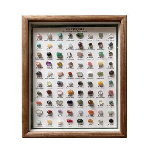 80Pcs Natural Mineral Specimens | Gemstones and Crystals Set | Rock & Mineral Collection Kit | Rock Collection Raw Gemstones | Versatile Home Decoration for Home Decoration and Gift Giving