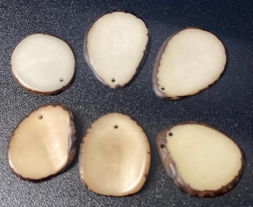 Tagua Mini Chips - Slices. 20 Beads | Vegetable Ivory Nut from Colombia, Corozo, Top drilled, Size: 2 x 2 cm. Natural Jewelry Supplies image 4