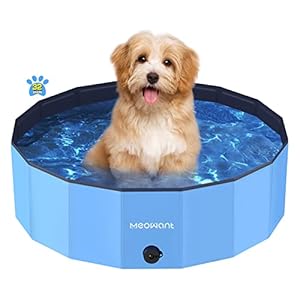 Meowant Hundepool, Faltbare Hundepools für Große Hunde