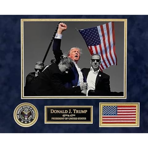 New England Picture Assassination Attempt of President Donald J. Trump - 16x20 Fist Pump Photo on Black Mat with USA Flag, Presidential Seal, and Presidential Title Plate Cover
