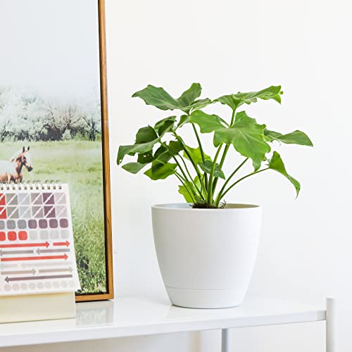 T4U Plastic Plant Pots For Indoor Plants - 7/6.5/6/5.5/5 Inch Self Watering Planter Flower Pot With Drainage Hole White, Nursery Planting Pot For Snake Plant, African Violet And House Plants, 5-Pack #TOP7