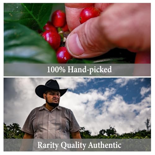 Café en Grano Hawaiian Kona, 8 oz, Medium Roast miniatura 4