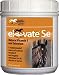 Kentucky Performance Prod Elevate Se Natural Vitamin E and Selenium Powder for Horses, 2 Pound Container