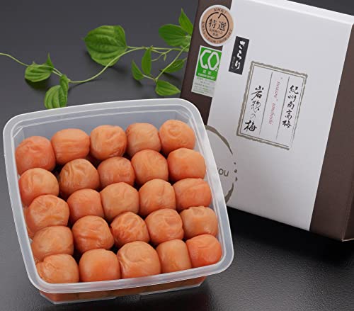 ~  썂~  3% IB썂~ n  I ቖ Y  iȊÂ (600g)