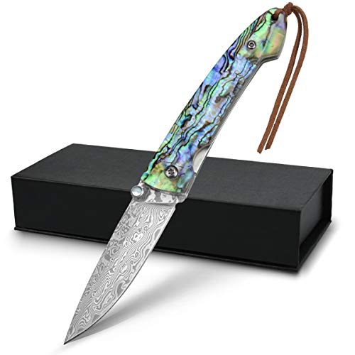 NedFoss Damascus Pocket Knife, 2.5'' Handmade Forged Damascus Steel Blade EDC Folding Hunter