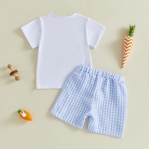 Image of Toddler Baby Boy Easter Rabbit Outfit Short Sleeve Bunny Carrot Smocked T-shirt Elastic Waist Shorts Summer Clothes
