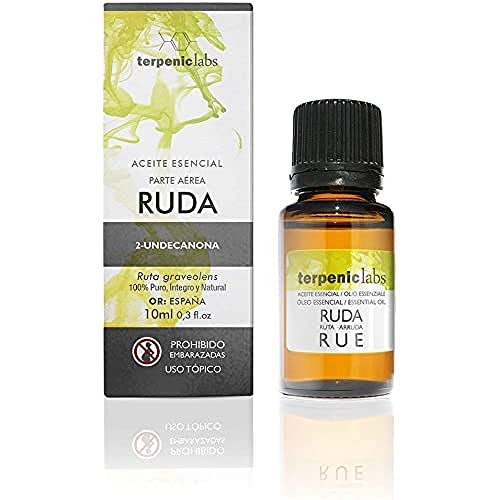 Terpenic Evo Ruda - 21 Ml