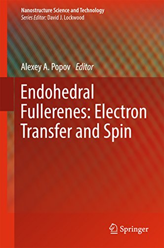 Endohedral Fullerenes: Electron Transfer and Spin (Nanostructure Science and Technology) (English Edition)