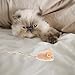 FRCOLOR 10pcs Soft Mice Shape Cat Toys for Indoor Cats Interactive and Funny Biting Toys