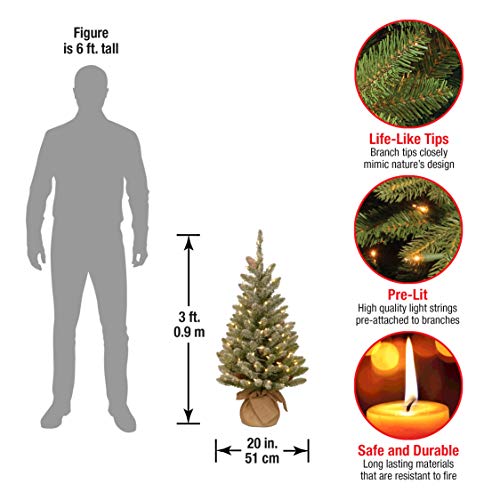 National Tree Company Pre-Lit Artificial Mini Christmas Tree | Includes Small White Led Lights And Cloth Bag Base | Snowy Concolor Fir Burlap - 3 Ft, Brown/Green #TOP2