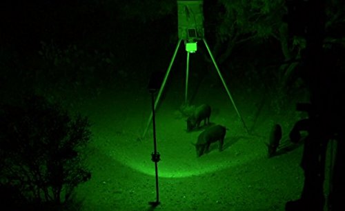 Elusive Wildlife Blind Sider X2 Motion Activated Feeder & Bait Light (Red) - Thumbnail 3