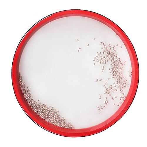 SEWACC I[Vh qpEF[uh ԐF Ŋy yy SҌYg[jOߋ