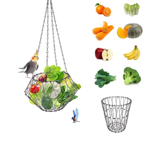 Hanging Bird Feeder Accessories,Foldable Parrot Fruits Vegetables Feeder with 4pcs Adjustable 17inch Hanging Chain,Bird Swing Toys for Parrot Sparrow Oriole,for Courtyard Porch Indoor Outdoor