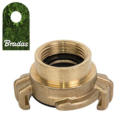 Preisvergleich Produktbild Bradas Geka-System Schnellkupplung Innengewinde Klauenkupplung 1" Messing BR-GK113 4726