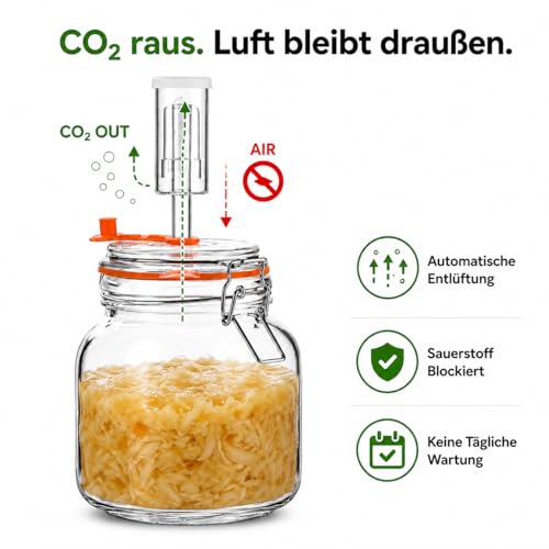 SwiftSlot Fermentierglas 1 L – Quadratisches Glas-Fermentierset mit Gewicht für Sauerkraut, Hot Sauce, Met, Cider & mehr – 2er-Pack