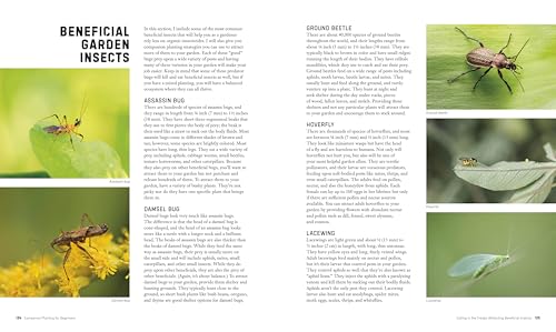 Companion Planting for Beginners: Pair Your Plants for a Bountiful, Chemical-Free Vegetable Garden - Image 8