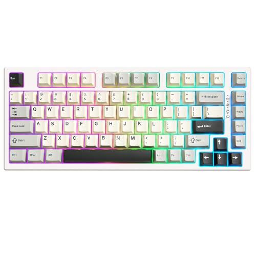 RT80