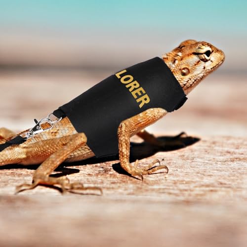 Image of PEUTIER Bearded Dragon Leash and Harness Set, Escape Prevention Bearded Dragon Accessories Adjustable Lizard Reptiles Harness for Chameleon Small Pet Amphibian Outdoor Safe Walk, Medium, black