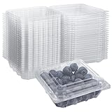 GBACHOOSE 100 contenitori per bacche con coperchio, in plastica trasparente, ventilati, per mirtilli, lamponi, more, pomodori o erbe aromatiche