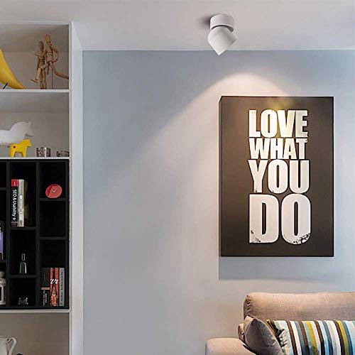 Aisilan Led Ceiling Spotlight Indoor, 7W White Directional Accent Light Fixture, Rotatable Modern Single Wall Art Spot Light Hard-Wired, Warm White Cree Cob Cri 97+, For Living Room Bedroom 52W7W3K #TOP6