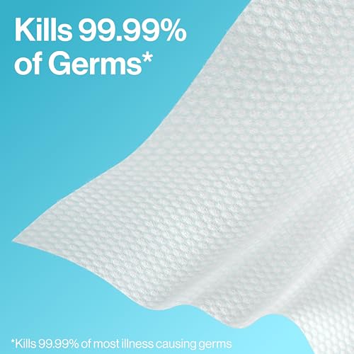 Image of The Honest Company Fragrance-Free Sanitizing Alcohol Wipes, Antibacterial Safe for Hands, Kills 99% of Germs, Made With Aloe, 50 Count (1 Pack)