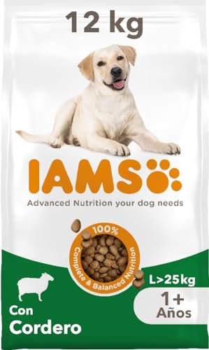 IAMS Alimento seco para perros de razas grandes con cordero, comida seca para perros adultos de más de 1 año, 12 kg