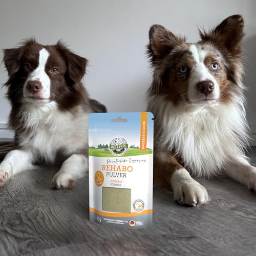 Bellfor Rehabo Pulver – Ergänzungsfuttermittel für Hunde mit Bierhefe & Insektenprotein – 80 g, zur Ergänzung der täglichen Fütterung, entwickelt mit Tierärzten