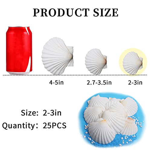 Lucky Baby 25Pcs Scallop Shells For Crafts, 2-3 Inches White Large Natural Seashells For Diy Home Decor, Baking Shells For Serving Food #TOP1