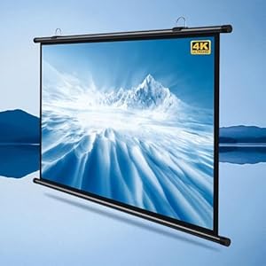 GSKDZG 40 Zoll 50 Zoll 60 Zoll Manuell Projektionsleinwand 4K HD Heimkino Beamer Leinwand Für Outdoor Indoor Wandmontage Filmleinwand Tragbare Projektor Leinwand(40 Inch (4:3))