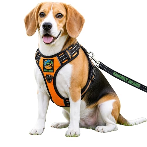 Image of Adjustable Padded Dog Harness with Leash | Comfortable Walking Harness for Dogs | Orange | Size S | Suitable for Dogs 11-15 kg