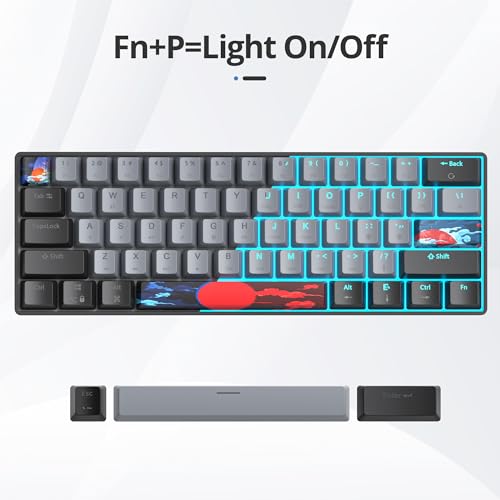 Image of 60 Percent Gaming Keyboard 61 Keys Wired Mechanical Keyboard Ultra Compact Key Board Red Switch LED Backlit for Windows Laptop Gamer(61Heihui)