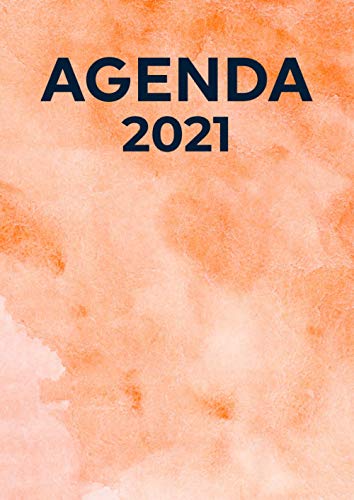 Télécharger Agenda 2021: Planificateur Mensuel,Hebdomadaire & Quotidien/Planning Organiseur Familial 2020 2021/M livre En ligne