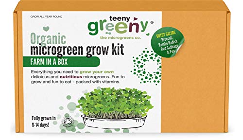 Gutsy Galore Farm in A Box by Teeny Greeny | Broccoli - Rambo Radish - Red Cabbage - Pea | Grow Your Own Microgreens in 14 Days