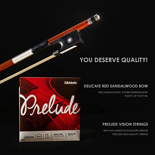 Professional Violin Beginner Full Size