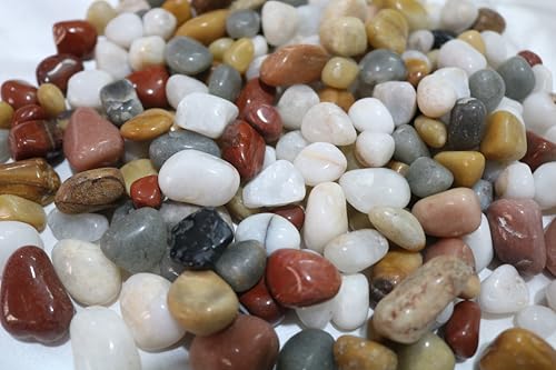 Image of Natural pebbles Polished Small, Mix Color - 975 Grams, Smooth and Round Stones, aquarium, decorative stones, Pebbles for plants pot, Garden art