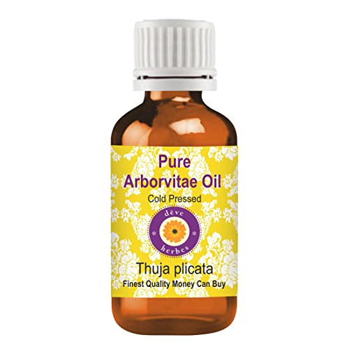 Deve Herbes Pure Arborvitae Oil (Thuja plicata) Non-Sticky | Non-Greasy | Warm Woody Aroma | For Aromatherapy, Meditation, Massage & Blends 15ml