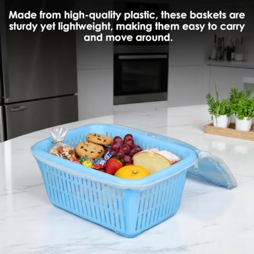 Image of GI9IUS Round Shape Multipurpose Safe Net Cover Plastic Fruit & Vegetable (Onion,Potato) Storage Basket (Blue)