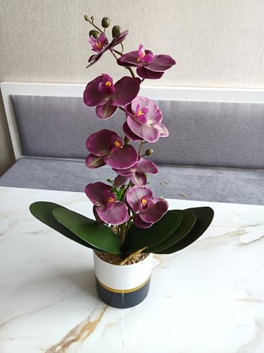 Orquídea artificial de silicona Phalaenopsis que no se marchita nunca 6