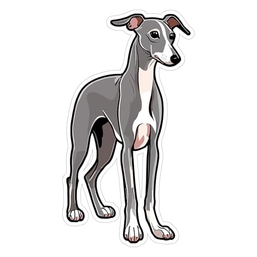 Italian Greyhound Sticker 4 Inch Lover IG Dog - Waterproof Animal Vinyl Decal for Laptop Water Bottle Car Tumbler - Durable Aesthetic Long-Lasting Stickers for Adults ID44990