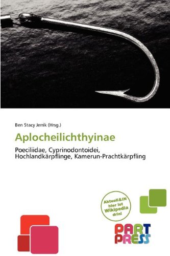 Aplocheilichthyinae: Poeciliidae, Cyprinodontoidei, Hochlandkärpflinge, Kamerun-Prachtkärpfling