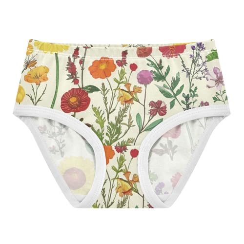 Toddler Girls Underwear 2t Cotton Panties Little Girl Fun Print Kids Briefs Undies Retro Wildflowers Botanical Yellow