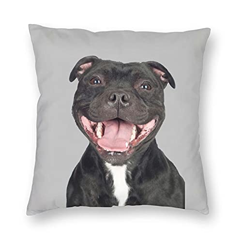 Imagen de Funny Staffordshire Bull Terrier Funda de cojín Staffie Laughing Staffy Dog Throw Funda de almohada 45